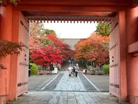 真如堂（真正極楽寺）の写真・動画_image_479094