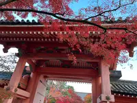 真如堂（真正極楽寺）の写真・動画_image_479095