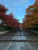 真如堂（真正極楽寺）の写真・動画_image_479097