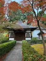 真如堂（真正極楽寺）の写真・動画_image_479098