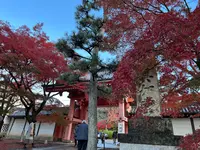 真如堂（真正極楽寺）の写真・動画_image_479101