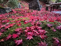 栄摂院の写真・動画_image_479103