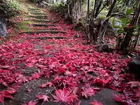 栄摂院の写真・動画_image_479104