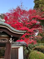 栄摂院の写真・動画_image_479105