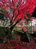 栄摂院の写真・動画_image_479106