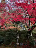 栄摂院の写真・動画_image_479107