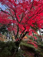 栄摂院の写真・動画_image_479108