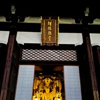 金戒光明寺の写真・動画_image_479109