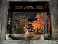 金戒光明寺の写真・動画_image_479116