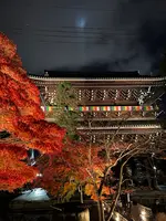 金戒光明寺の写真・動画_image_479118