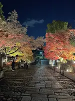 金戒光明寺の写真・動画_image_479120