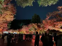 永観堂（禅林寺）の写真・動画_image_479121