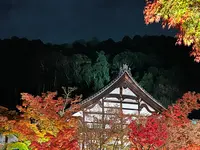 永観堂（禅林寺）の写真・動画_image_479122