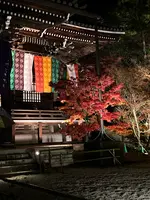 永観堂（禅林寺）の写真・動画_image_479123