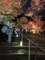 永観堂（禅林寺）の写真・動画_image_479125