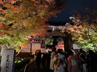 永観堂（禅林寺）の写真・動画_image_479128