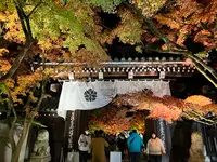 永観堂（禅林寺）の写真・動画_image_479131