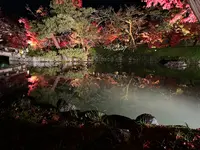 永観堂（禅林寺）の写真・動画_image_479132