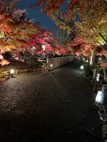 永観堂（禅林寺）の写真・動画_image_479134