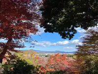 常寂光寺の写真・動画_image_479168