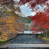 二尊院の写真・動画_image_479172