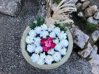 二尊院の写真・動画_image_479179