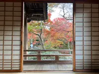 宝筐院の写真・動画_image_479192