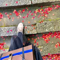 法輪寺の写真・動画_image_479328