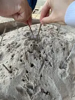 法輪寺の写真・動画_image_479329