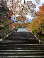 法輪寺の写真・動画_image_479333