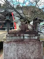 法輪寺の写真・動画_image_479334