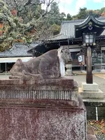 法輪寺の写真・動画_image_479343