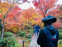 人力車のえびす屋 京都嵐山總本店の写真・動画_image_479372