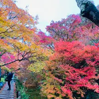 人力車のえびす屋 京都嵐山總本店の写真・動画_image_479375