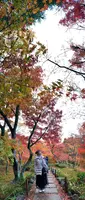 人力車のえびす屋 京都嵐山總本店の写真・動画_image_479376