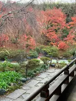 宝筐院の写真・動画_image_479386