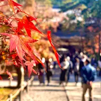 南禅寺の写真・動画_image_479392