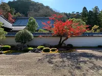 南禅寺の写真・動画_image_479404