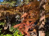 水路閣の写真・動画_image_479413