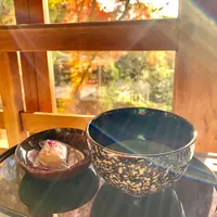 伏見稲荷大社の写真・動画_image_479434