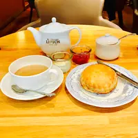 リプトン 三条本店の写真・動画_image_479446