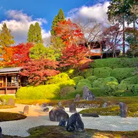 東福寺　光明院の写真・動画_image_479468