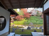 東福寺　光明院の写真・動画_image_479469