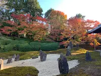 東福寺　光明院の写真・動画_image_479474