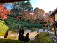 東福寺　光明院の写真・動画_image_479475