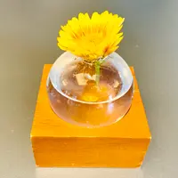 THE HOTEL SEIRYU KYOTO KIYOMIZU（ザ・ホテル青龍 京都清水）の写真・動画_image_479492