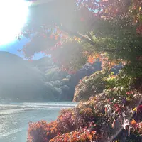 渡月橋の写真・動画_image_479539