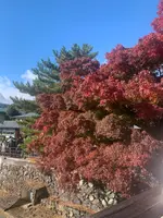 渡月橋の写真・動画_image_479541