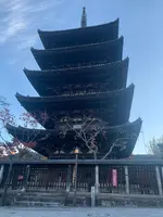 法観寺 八坂の塔の写真・動画_image_479608