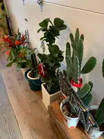 ROUTE54 BAKERY（ルート54ベーカリー）の写真・動画_image_479723